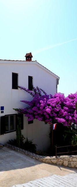 Apartments Katica Okrug Gornji