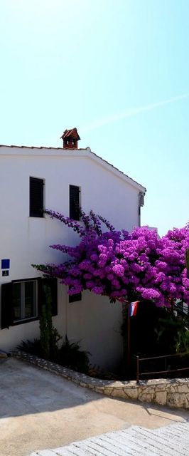 Apartments Katica Okrug Gornji