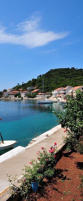 Apartments Slavica Pasadur