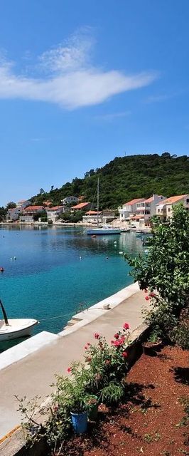 Apartments Slavica Pasadur