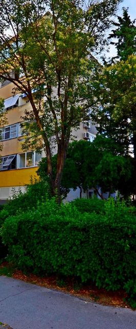 Apartment Sunny Split