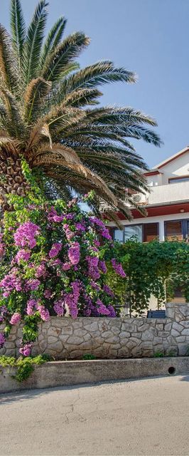 Apartment Valentina Mali Losinj
