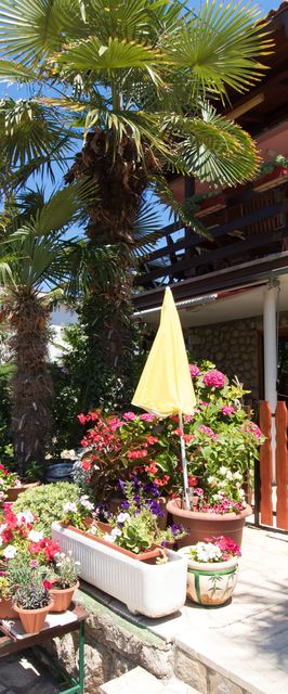 Apartment Paulina Cres