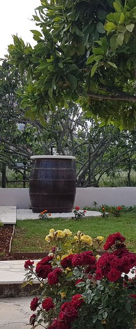 Apartment Canaria Vinisce