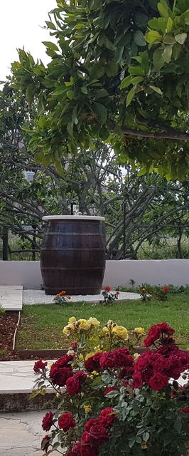 Apartment Canaria Vinisce