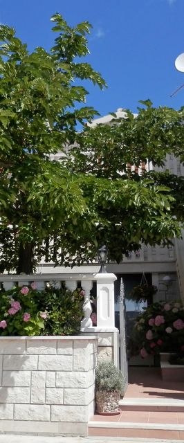 Apartments Hrgovic Rogoznica