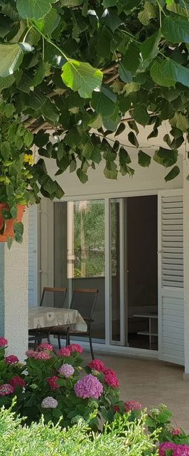 Apartment Ljiljana Novi Vinodolski