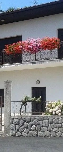 Apartman Pauletić Mihotići Matulji