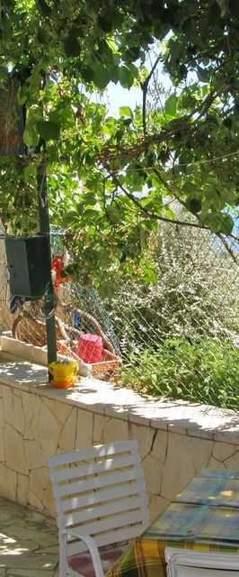 Apartment Željka Seget Vranjica