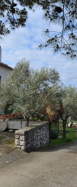 Apartments Ljubomir Cres