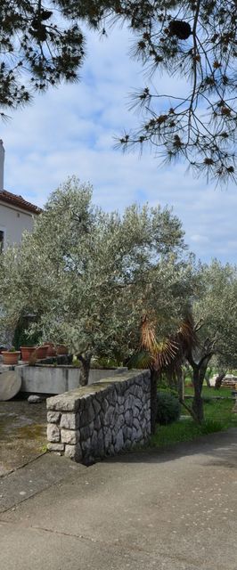 Apartments Ljubomir Cres