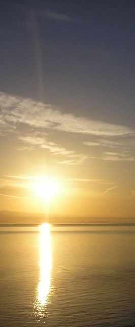 Apartments Zlatko Icici