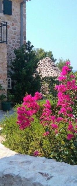 Apartment Zvonimir Igrane