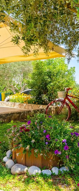 Apartments Pharos Stari Grad