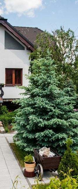 Apartament Przy Słonecznej Mysłakowice