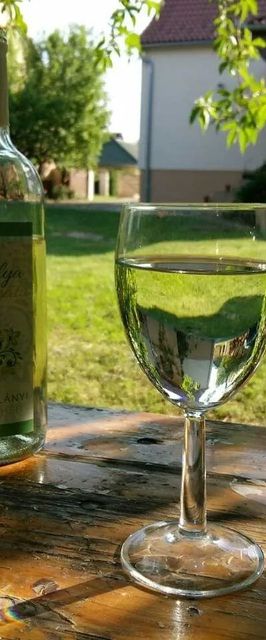 Borbarátok Vendégház Villány