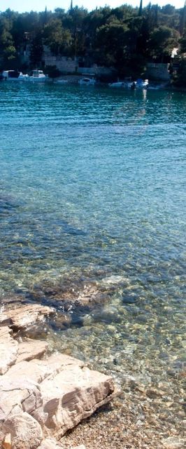 Apartment Deni Milna