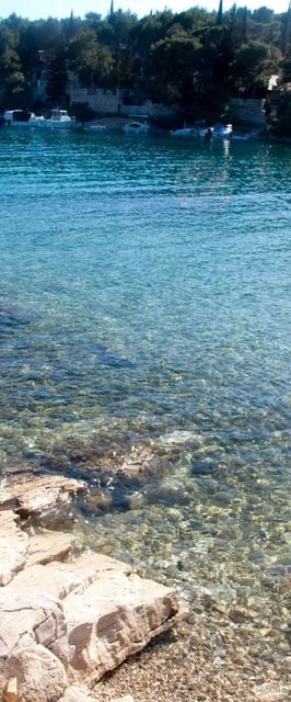 Apartment Deni Milna