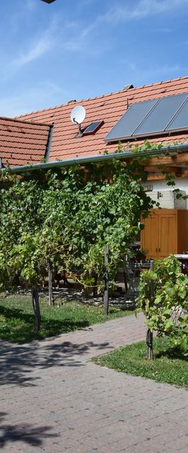 Luca Háza Panzió Feketeerdő