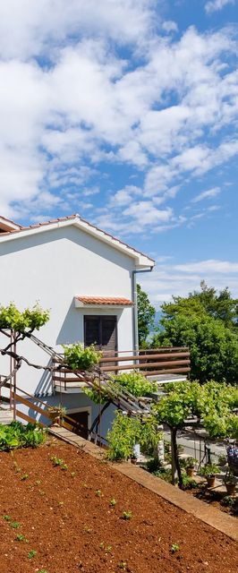 Apartments Milan Medveja