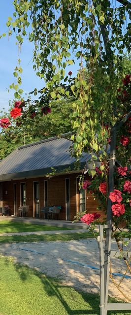 Wellness Vendégház és Lovasklub Mohács