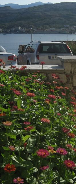 Apartmani Pavičić Marija Pag