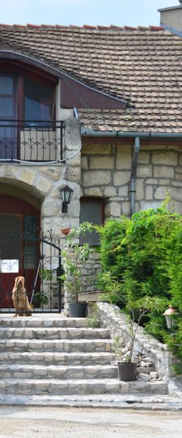 Buzál-Mórocza Pincészet és Szálláshely Etyek