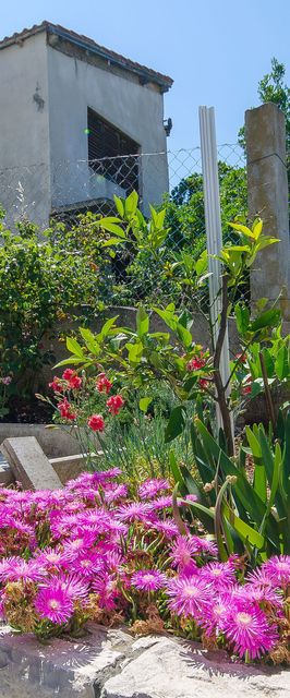 Apartment Ljubica Zavalatica