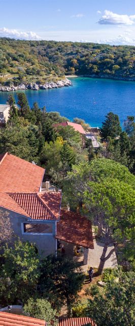 House Silvestra Potocnica