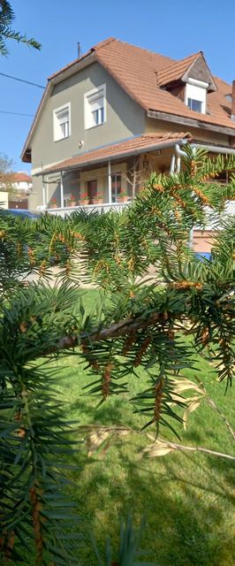 Kata Vendégház Noszvaj