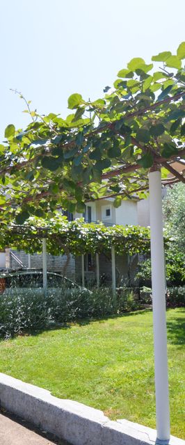 Apartman Urem Fažana