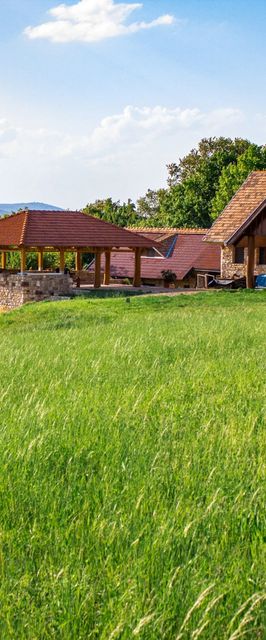 Takács Tanya Nemesvámos