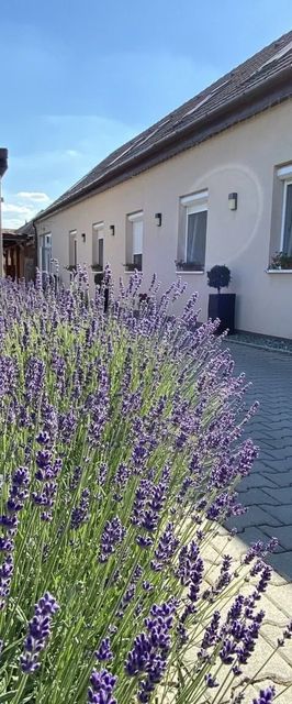 Levendula Vendégház Győr