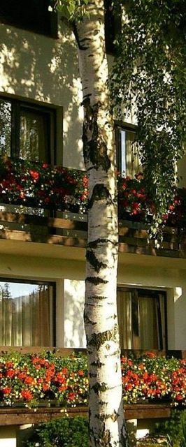 Willa U Leszka Karpacz