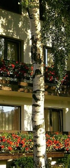 Willa U Leszka Karpacz