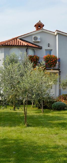 Apartman Djurdja A2 Fažana