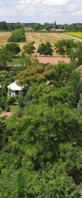 Páva Tanya és Vendégház Gyula