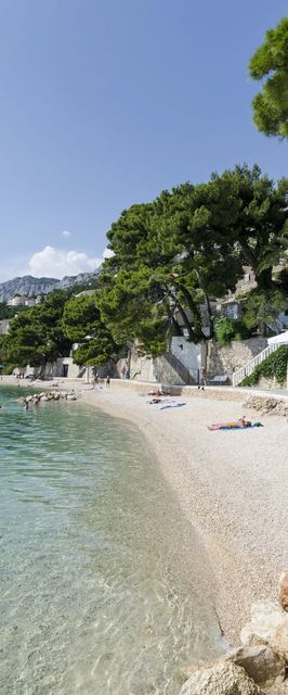 Apartments Kate Brela