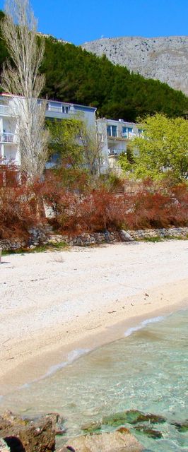 Apartments Anka Duce