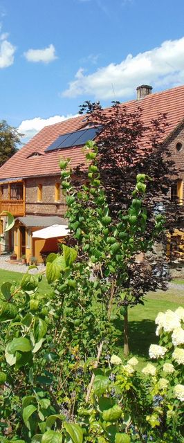 Bikówka Gospodarstwo Agroturystyczne Świecie/ Leśna