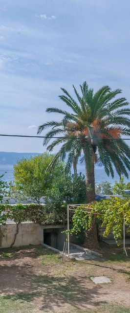 Apartments Marija Duce