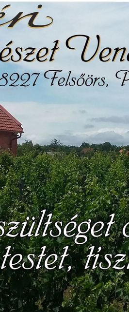 Gelléri Vendégház és Borterasz Felsőörs