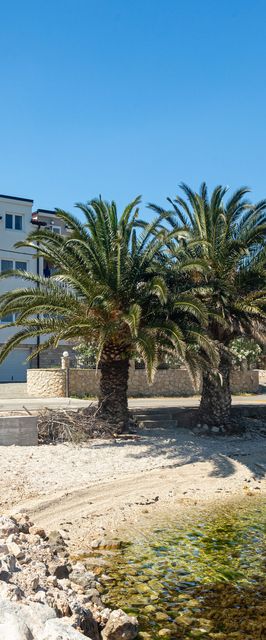 Apartments Janja Arbanija