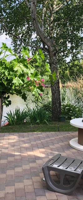 Flamingó Nyaraló Gyomaendrőd