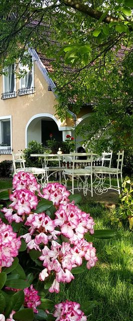 Fehér Porta Vászoly