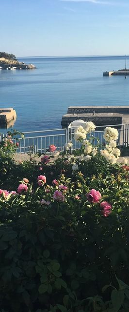 Apartments Suzana Jakisnica