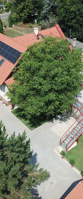 Bor Villa Sóstó-Nyíregyháza