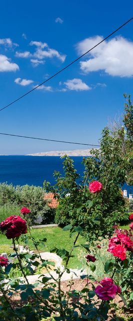 Apartment Draga Senj