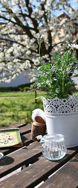 Jázmin Vendégház és Apartman Pogány