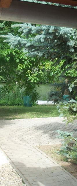 Horgász Nyaraló Gyomaendrőd